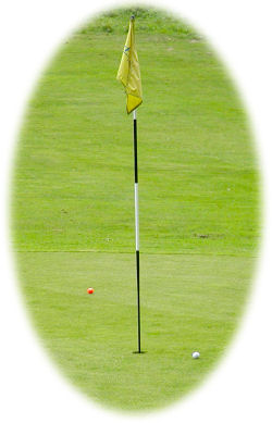 Flagga med bollar, © Copyright Brastad Golfcenter